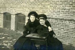 cchs230