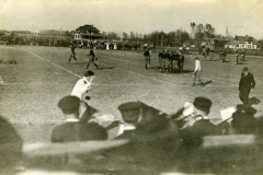 cchs238
