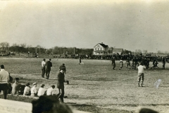cchs239
