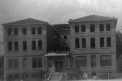 cchs243