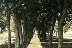 cchs249