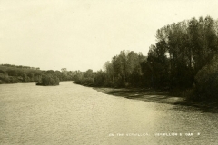 cchs80