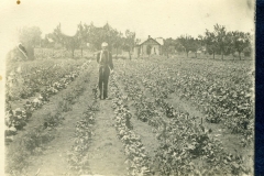 jw192
