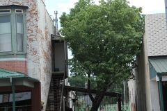 13_11 W Main_Alley
