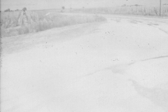 image0019