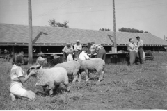 image0026