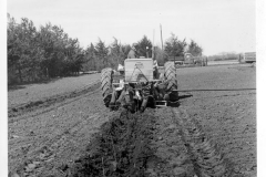 image0032