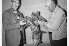 image0042