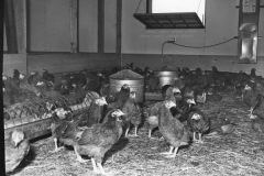 image0109