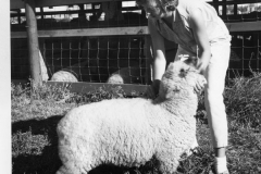 image0155