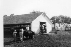 image0170