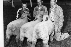 image0236