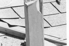 image0252
