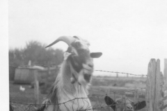 image0278