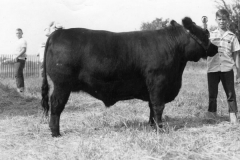 image0298